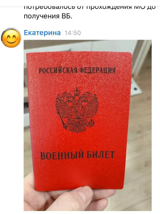 Скриншот переписки с ИИ-Помощником призывника в Telegram